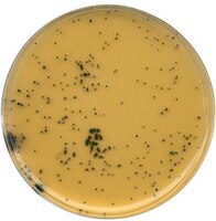Môi Trường Nuôi Cấy TSC (Tryptose sulfite cycloserine) agar 111972 Merck