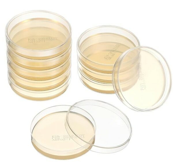 Môi Trường Nuôi Cấy Thạch Kháng Sinh 105269 Merck - Image 2