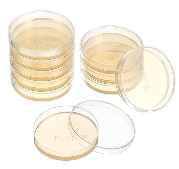 Môi Trường Nuôi Cấy Thạch Kháng Sinh 105269 Merck